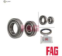 FAG 713 6671 00 Wheel bearing kit