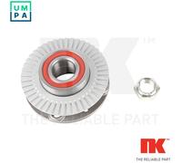 NK 769925 Wheel bearing kit