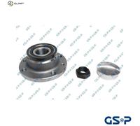 GSP 9230097K Wheel Bearing Kit for FIAT
