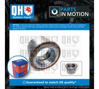 Wheel Bearing Kit fits IVECO DAILY 2.3D Rear 2002 on QH 1656462 2996026 46393023