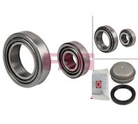 FAG Wheel Bearing Kit - 713667800