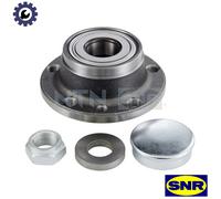 SNR R141.23 Wheel bearing kit