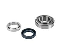 Wheel Bearing Kit Rear (1 Side) 60547722