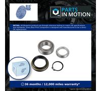 BLUE PRINT ADBP820046 Wheel bearing kit