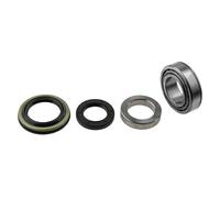 WHEEL BEARING KIT REAR For KIA SPORTAGE 98-, PREGGIO 97- /LEFT/