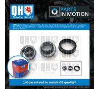 Wheel Bearing Kit Rear QWB1155 Quinton Hazell 510384 60521282 60523333 Quality