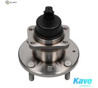 KAVO PARTS WBH-1002 Wheel bearing kit