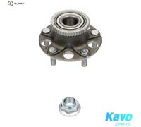 KAVO PARTS WBH-2041 Wheel bearing kit