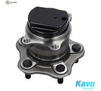 Kavo Parts Wheel Bearing WBH-6522 Rear Axle for Nissan & Renault