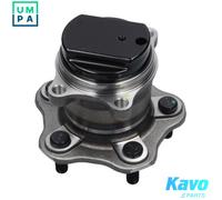 Kavo Parts Wheel Bearing WBH-6522 Rear Axle for Nissan & Renault