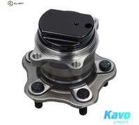 Kavo Parts Wheel Bearing WBH-6522 Rear Axle for Nissan & Renault