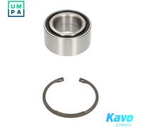 KAVO PARTS WBK-2039 Wheel bearing kit