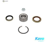KAVO PARTS WBK-5536 Wheel bearing kit