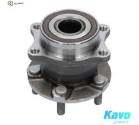 Wheel bearing Rear Axle WBK-8012 KAVO PARTS for SUBARU TOYOTA