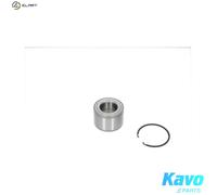 KAVO PARTS WBK-9037 Wheel bearing kit