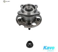 KAVO PARTS WBK-9048 Wheel bearing kit