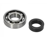 ASHIKA 44-26010 Wheel bearing kit