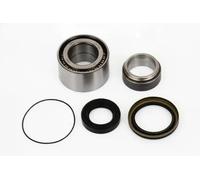ASHIKA 44-20539 Wheel bearing kit