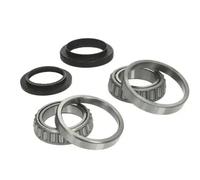 BTA H2G008BTA Wheel bearing kit