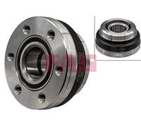 FAG 713 6980 70 Wheel bearing kit
