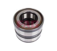 Wheel Bearing 805012.06.H195 FAG 1400289 1400291 1408086 1705686 1702952 Quality