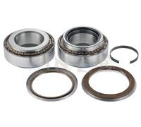 Wheel Bearing SNR HDS218