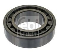 FEBI BILSTEIN 04843 Wheel bearing