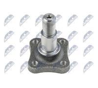Wheel Hub Fits NISSAN Micra C+C III Note RENAULT Clio II 01-16 43042AX600