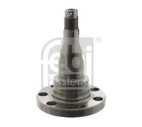 FEBI BILSTEIN 08340 Kingpin, axle beam for ,AUDI,SEAT,VW