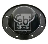 Wheel Hub Protection Lid FEBI Fits MERCEDES NG SK T2/L 59-96 3893200684