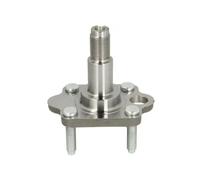 BTA H50005BTA Wheel Hub