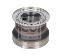 Wheel Hub Wheel Suspension Febi Bilstein 186061 Fits DAF