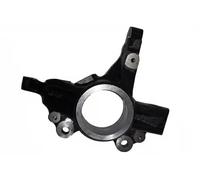 BUGIAD BSP25166 Steering knuckle