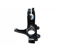 BUGIAD BSP25271 Steering knuckle