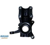 BUGIAD BSP25292 Steering knuckle