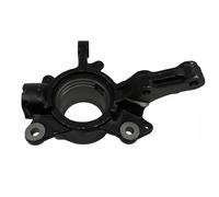 BUGIAD BSP25303 Steering knuckle
