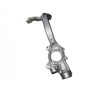 BUGIAD BSP25336 Steering knuckle