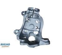 BUGIAD BSP25395 Steering knuckle