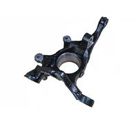 BUGIAD Steering Knuckle (Wheel Suspension) BSP25448 - Front Axle Left - BMW X5