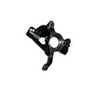 BUGIAD BSP25049 Steering knuckle
