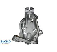BUGIAD BSP25149 Steering knuckle