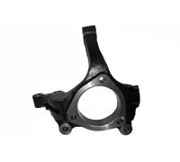 BUGIAD BSP25172 Steering knuckle