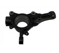 BUGIAD BSP25304 Steering knuckle