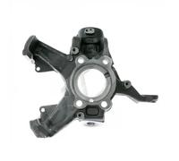 BUGIAD BSP20671 Steering knuckle