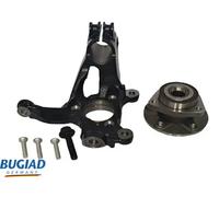 BUGIAD BSP25048PROKIT Steering knuckle