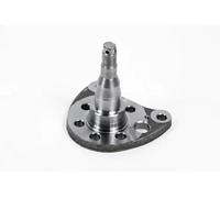 STEERING KNUCKLE WHEEL SUSPENSION 4200380 FOR VW GOLF/IV/Cabriolet/Mk/III 2.0L