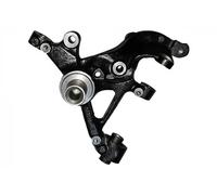 BUGIAD BSP25053 Steering knuckle