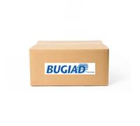 BUGIAD BSP25631 Steering knuckle