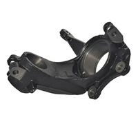 BUGIAD BSP25516 Steering knuckle