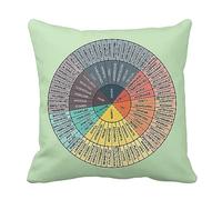 Wheel of Emotions Feelings Chart Velvet Throw Pillow Covers Cozy Pillowcases Home Decor for Bed Couch Sofa Therapy Office Living Room Cushion Covers Counselor Physical Therapist Gifts 18"x18"